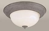 20009-02-09 Forte Lighting
