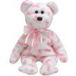 114o%2B2eiB L. SL160  Ty Beanie Baby Bear Giving breast cancer