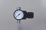 1/4LCKG PRESSURE REG W/GA