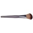 Results Powder Brush