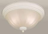 20002-02-03 Forte Lighting