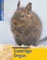 Gesellige Degus