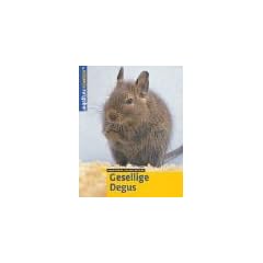 Gesellige Degus
