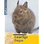 Gesellige Degus