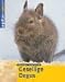 Gesellige Degus. by Anna Sporon