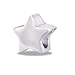 Beautiful Silver Decorative Star European/Memory title=