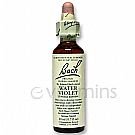 Bach Flower Remedies Water Violet -- 20 mL