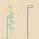Bosmere E533 36 x 6 Inch Hoop - Set of 3