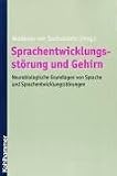 Sprachentwicklungsstoerung und Gehirn: Neurobiologische Grundlagen von Sprache und Sprachentwicklungsstoerungen