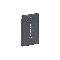 Sony Clie Battery Pack
