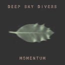 Momentum