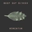 Momentum