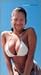 Windowlicker