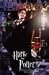 Harry Potter and the Prisoner of Azkaban Poster (Holding Lantern) 24x36