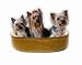 K and H Toy Breed Thermo Bed