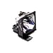 Epson V13H010L33 Replacement Lamp for PowerLite S3 Projector