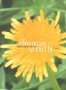 L�wenzahnzimmer - Thomas Struth