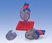 Classic Heart with Conducting System, 2-part