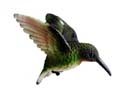 Ruby Throated Hummingbird Window Magnet