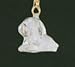 Clear Acrylic Dog Pull Chain