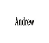 Clearly Charming Name Andrew Stainless Steel Text Numbers Types Italian Charm Link