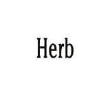 Clearly Charming Name Herb Stainless Steel Text Numbers Types Italian Charm Link