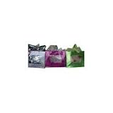 Gift Bags 2 Tone Hologram Window Bags (pack Of 48) Pack of 48 pcs