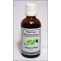 ReGrow Plus to Promote Healthy Hair and Assist with Hairloss
