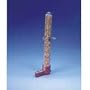 Seed and Water Fountain - 8 1/2 in.