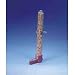 Seed and Water Fountain - 8 1/2 in.