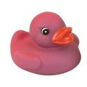 COLOUR CHANGING DUCKS