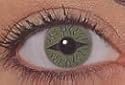 Alien Wild Halloween Theatrical Lenses/non Prescription Contact Lenses