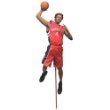 McFarlane: NBA Series 13 - Chris Bosh for Toronto Raptors