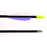 Cajun Classic Fiberglass Arrows (1 Dozen)