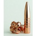 22Cal .224 55gr MPG (100)