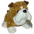 WEBKINZ - Bulldog by Webkinz