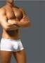 2(x)ist Men's No-Show Brief