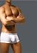 2(x)ist Men's Cotton No-Show Trunk