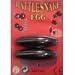 Large 2.5″ Rattlesnake Egg Singing Magnets