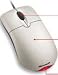 Microsoft Wheel Mouse Optical PS2&USB (Beige), 3-Pack, Bulk