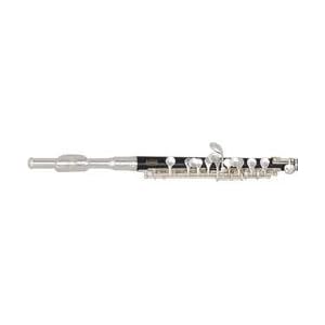 Bundy BPC-300 Piccolo, Standard by 
