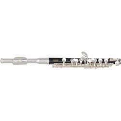 Bundy BPC-300 Piccolo Standard