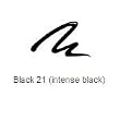 Bourjois Liner Pinceau-Liquid Eyeliner Black 21 (intense black)