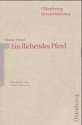 Oldenbourg Interpretationen, Bd.27, Ein fliehendes Pferd - Martin Walser