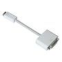 Mini-DVI to DVI Adapter