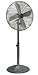 Soleus Air