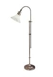 OTT-LITE 18 Watt Lexington Floor Lamp with Bulb / Antique Brushed Nickel
