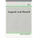 Jugend und Gewalt: Polizei-, Sozialarbeit und Jugendhilfe