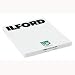 Ilford HP5 Plus - Black & white print film - 8 x 10