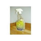 Shaw 32 oz R2x Carpet & Rug Stain & Soil Remover GREEN Formula